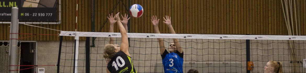 Symmachia oefenomgeving