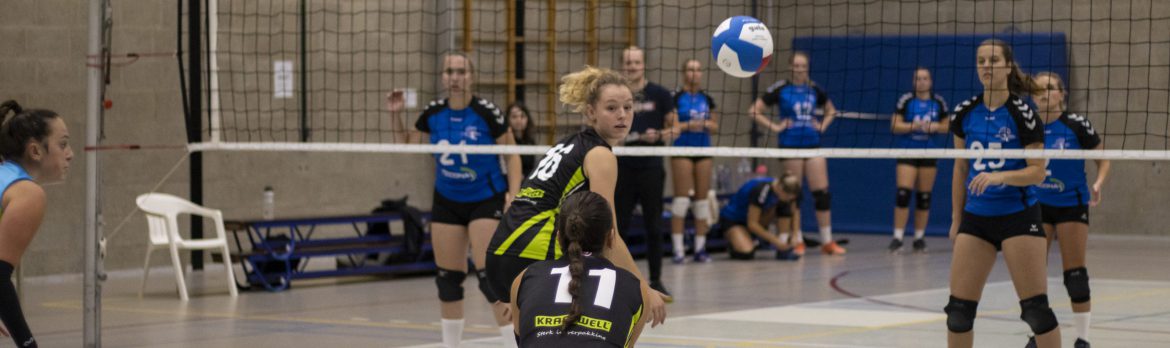 Symmachia oefenomgeving