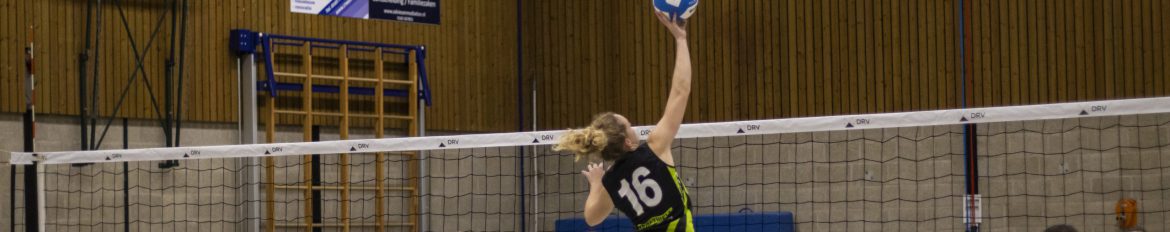 Symmachia oefenomgeving