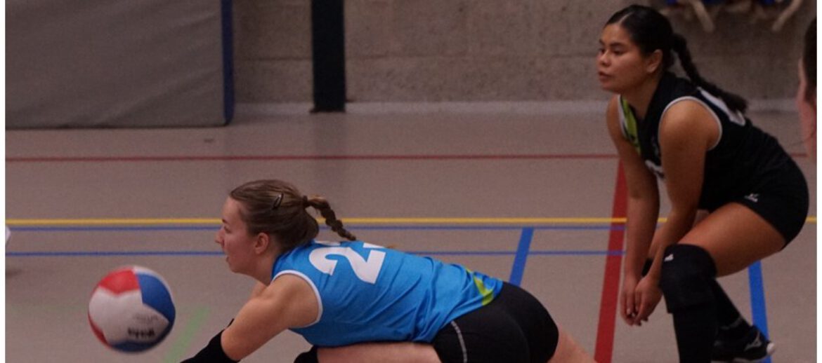 Symmachia oefenomgeving