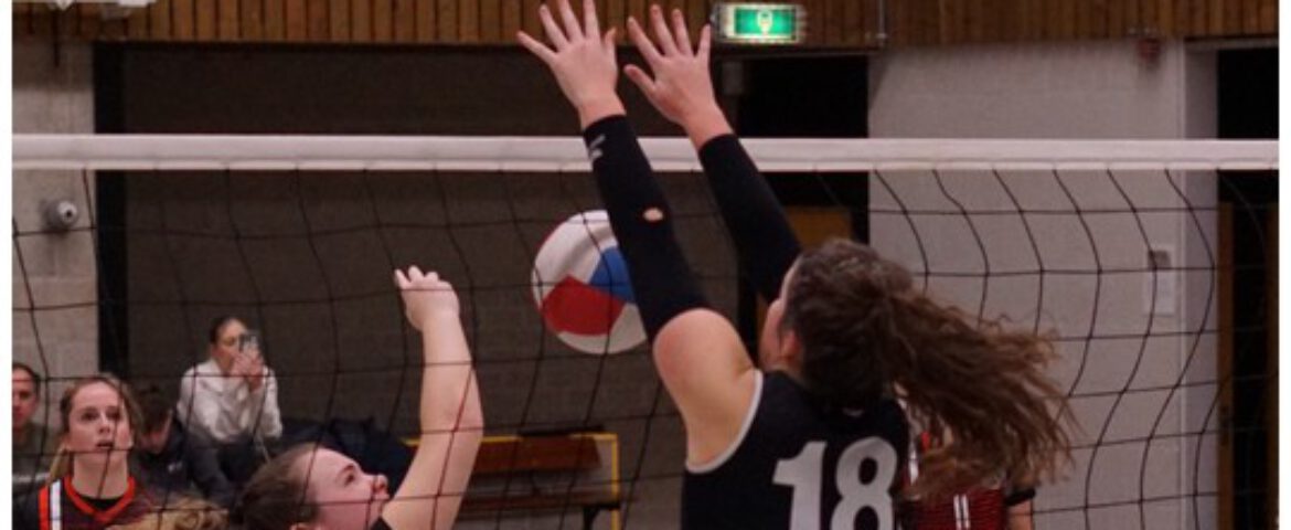 Symmachia oefenomgeving