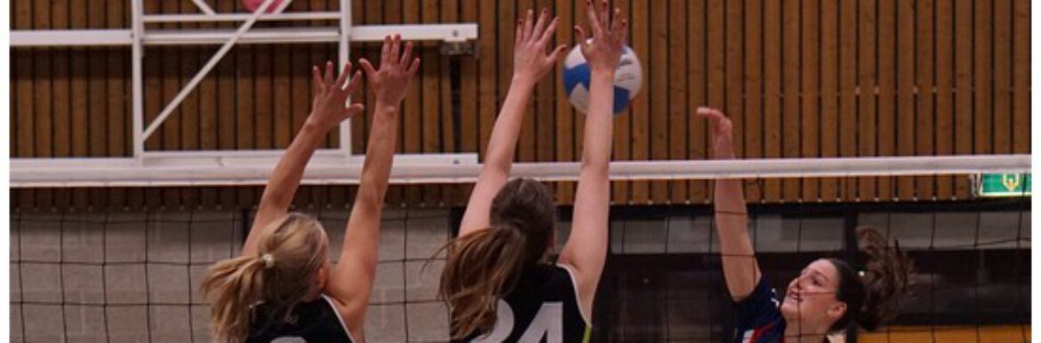 Symmachia oefenomgeving